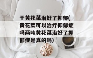 干黄花菜治好了抑郁(黄花菜可以治疗抑郁症吗两吨黄花菜治好了抑郁症是真的吗)