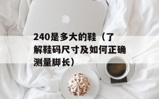 TCL手机W939（详细介绍TCL手机W939的特点和功能）