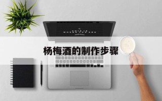 杨梅酒的制作步骤