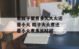 煮粽子要煮多久大火还是小火 粽子大火煮还是小火煮多长时间