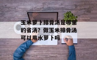 玉米萝卜排骨汤是哪里的省汤？做玉米排骨汤可以用水萝卜吗