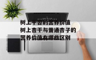 树上干杏的营养价值 树上杏干与普通杏子的营养价值有哪些区别