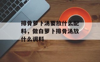 排骨萝卜汤要放什么配料，做白萝卜排骨汤放什么调料