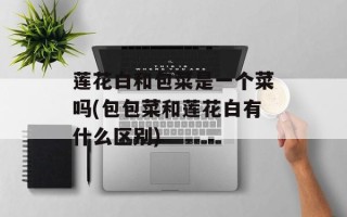莲花白和包菜是一个菜吗(包包菜和莲花白有什么区别)