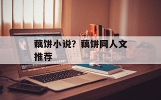 藕饼小说？藕饼同人文推荐