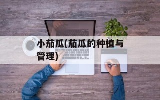 小茄瓜(茄瓜的种植与管理)