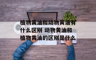 植物黄油和动物黄油有什么区别 动物黄油和植物黄油的区别是什么