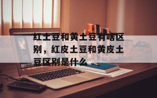 红土豆和黄土豆有啥区别，红皮土豆和黄皮土豆区别是什么