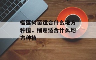 榴莲树苗适合什么地方种植，榴莲适合什么地方种植