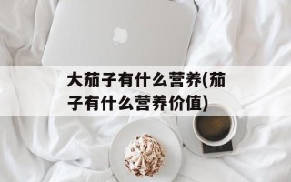大茄子有什么营养(茄子有什么营养价值)
