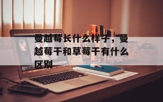 曼越莓长什么样子，曼越莓干和草莓干有什么区别