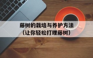 茄子酱怎么做好吃，酱扒茄子东北做法