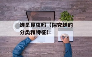 菠萝直播改成什么了，
