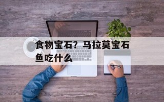 食物宝石？马拉莫宝石鱼吃什么