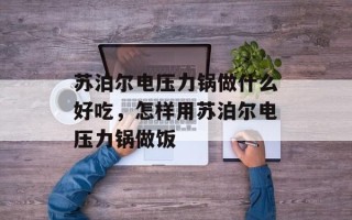 苏泊尔电压力锅做什么好吃，怎样用苏泊尔电压力锅做饭