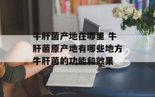 牛肝菌产地在哪里 牛肝菌原产地有哪些地方牛肝菌的功能和效果