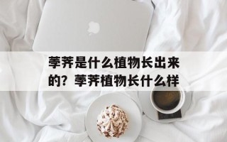 荸荠是什么植物长出来的？荸荠植物长什么样