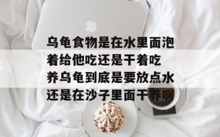 乌龟食物是在水里面泡着给他吃还是干着吃 养乌龟到底是要放点水还是在沙子里面干养啊