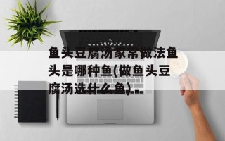 鱼头豆腐汤家常做法鱼头是哪种鱼(做鱼头豆腐汤选什么鱼)