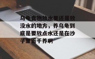 乌龟食物放水里还是放没水的地方，养乌龟到底是要放点水还是在沙子里面干养啊