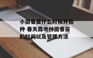 小茴香苗什么时候开始种 春天露地种茴香苗的时间以及管理方法