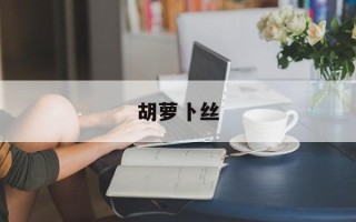 胡萝卜丝