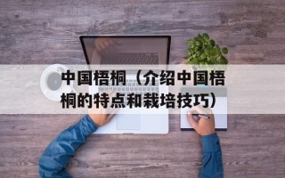 欧奇oka13（探寻欧奇oka13手机的特点和优势）