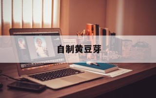 自制黄豆芽