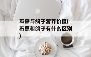 石燕与鸽子营养价值(石燕和鸽子有什么区别)