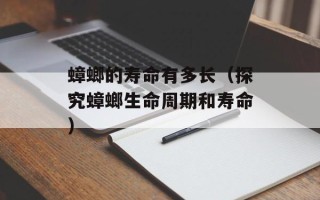 葡萄柚好吃吗，葡萄柚好吃吗测评