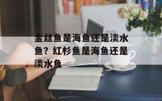 金丝鱼是海鱼还是淡水鱼？红杉鱼是海鱼还是淡水鱼