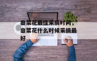 韭菜花最佳采摘时间，韭菜花什么时候采摘最好