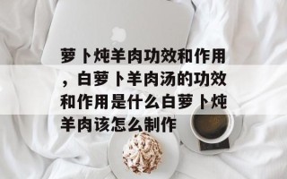 萝卜炖羊肉功效和作用，白萝卜羊肉汤的功效和作用是什么白萝卜炖羊肉该怎么制作