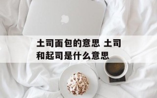 土司面包的意思 土司和起司是什么意思