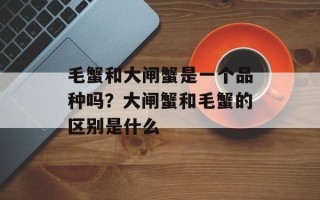 毛蟹和大闸蟹是一个品种吗？大闸蟹和毛蟹的区别是什么