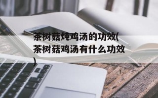 茶树菇炖鸡汤的功效(茶树菇鸡汤有什么功效)