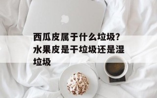 西瓜皮属于什么垃圾？水果皮是干垃圾还是湿垃圾