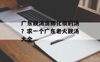 广东靓汤清肺化痰的汤？求一个广东老火靓汤大全