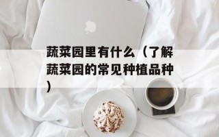 苗香掉渣饼加盟，苗香掉渣饼加盟