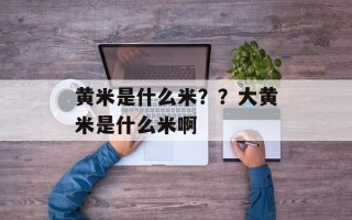 黄米是什么米？？大黄米是什么米啊