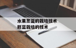 水果苤蓝的栽培技术 胚蓝栽培的技术