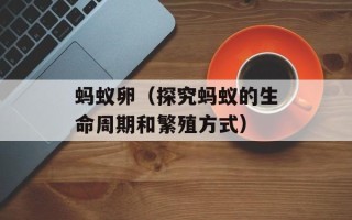 荔枝王上火吗，荔枝王为什么这么大