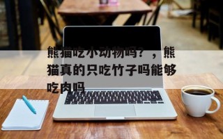 熊猫吃小动物吗？，熊猫真的只吃竹子吗能够吃肉吗