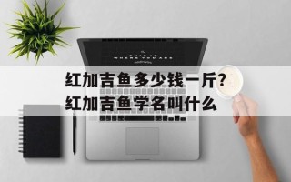 红加吉鱼多少钱一斤？红加吉鱼学名叫什么