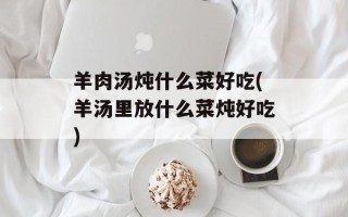 羊肉汤炖什么菜好吃(羊汤里放什么菜炖好吃)