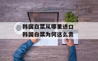 韩国白菜从哪里进口 韩国白菜为何这么贵