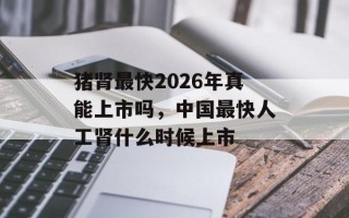猪肾最快2026年真能上市吗，中国最快人工肾什么时候上市