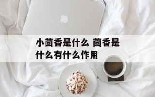 小茴香是什么 茴香是什么有什么作用
