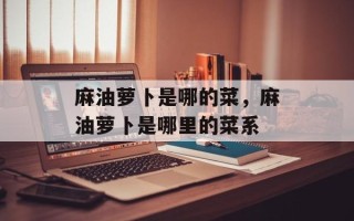 麻油萝卜是哪的菜，麻油萝卜是哪里的菜系