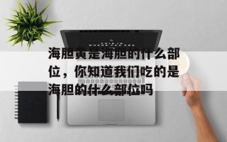 海胆黄是海胆的什么部位，你知道我们吃的是海胆的什么部位吗